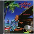 Huntley Brown 鋼琴演奏：Caribbean Praise