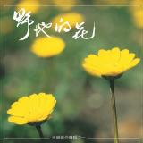 野地的花【CD】